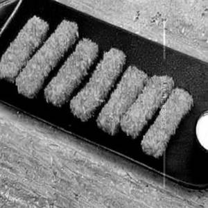 Fish finger