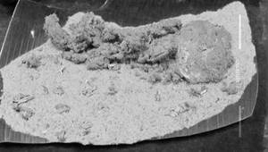 Podi Roast