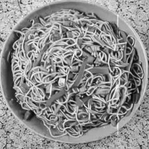 Veg Mixed Schezwan Noodles