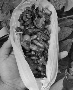 Spicy Baby Corn