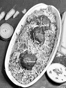 Kebab Biryani