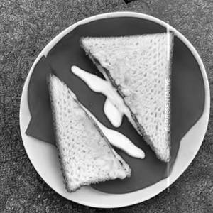 Cheese Special Sandwich