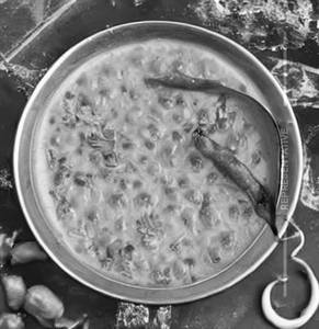 Butter Dal Fry