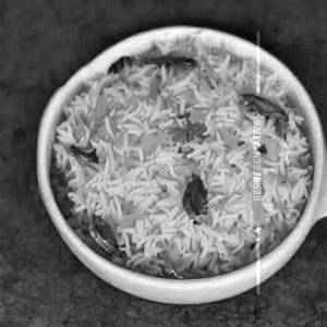Ghee Rice