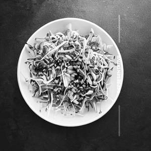 Protein Sprout Salad