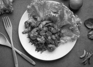 Prawn Fry
