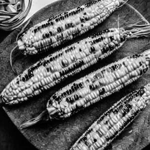 Corn Crispy