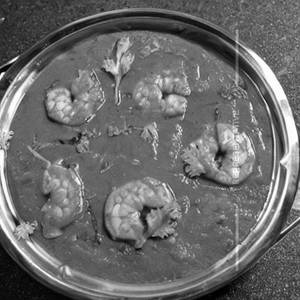 Prawn Dopiaza