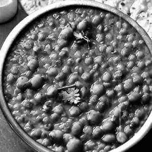 Rajmah Dal Tadka