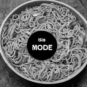 Mixed Noodles