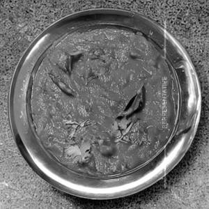 Jeera Fish Masala