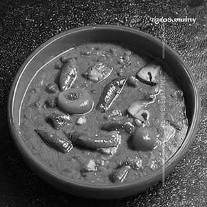 Vegetable Jhal Frezi