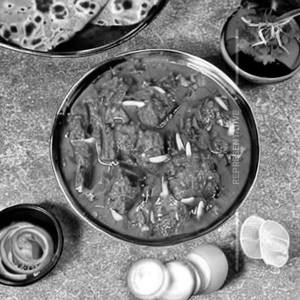 Veg Lahori