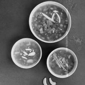 Chicken Coriander Soup