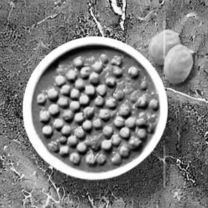 Green Peas Masala
