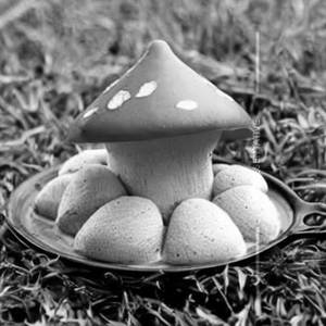 Dragon Mushroom
