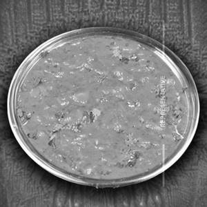 Veg Kolhapuri