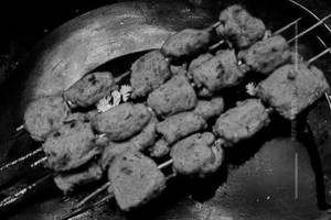Sahi Kabab