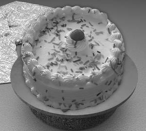 Vanilla Cake