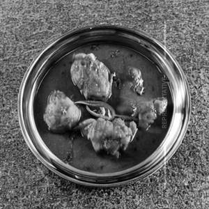 Chicken Chatpati