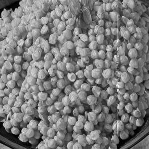 Chana Rice