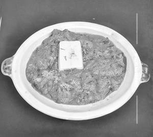 Butter Bhakhri