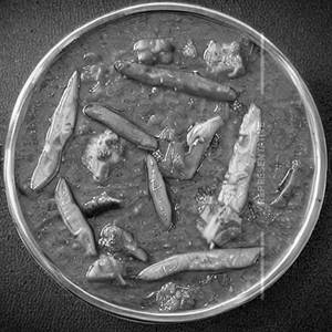 Achari Veg