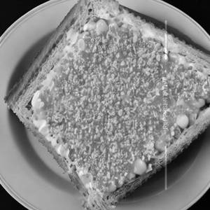 Corn Egg Cheese
