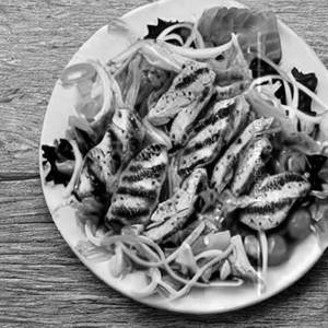 Chicken Grill Salad