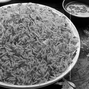 Tomato Rice   