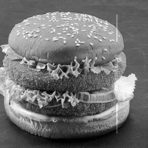 Fish Tower Burger