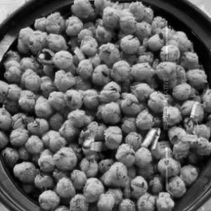 Chana Fry Dry 