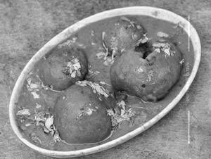 Punjabi Dum Aloo 