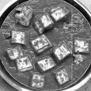 Paneer Hariyali