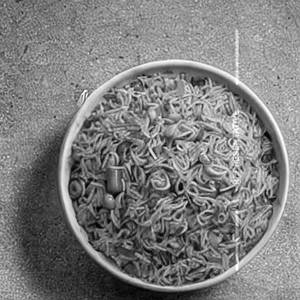 Veg Chowmien Rice
