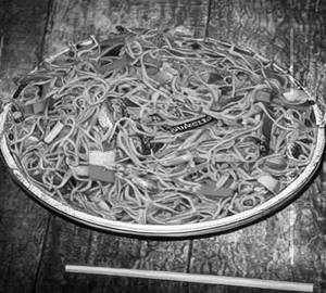 Veg Schezwan Hakka Noodles