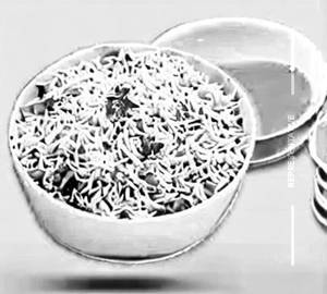 Egg Schezwan Fried Rice