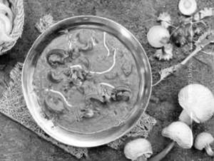 Mushroom Do Pyaaza