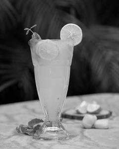 Lychee Mojito