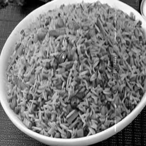 Veg sanghai fried rice