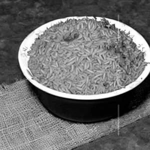 Masala Rice