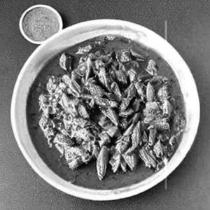 Malai methi matar