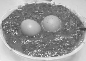Egg Do-Pyaza