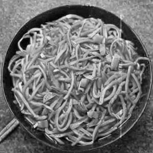 Paneer Schezwan Noodles