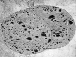 Makki Ki Roti