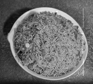Korean Rice 