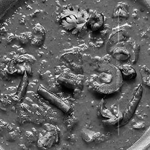 Kadai Makki Mushroom
