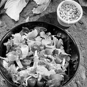 Fresh Garden Salad