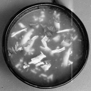 Chicken Soup