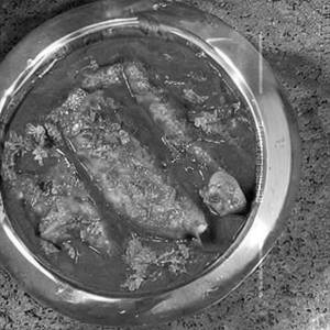 Fish nicobari